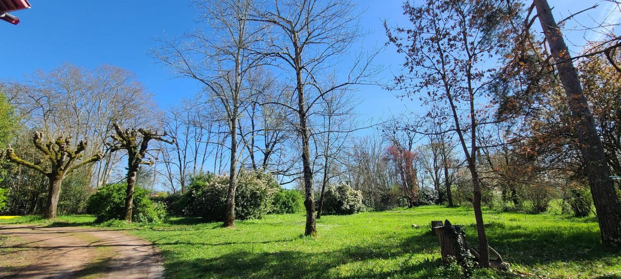 Le Manoir Du Moulin De Madame Bed & Breakfast Villeneuve-sur-Lot Bagian luar foto